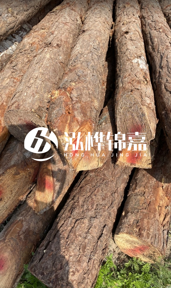 <strong>松木樁和杉木樁的用途區(qū)別？哪個更適合打樁用？</strong>