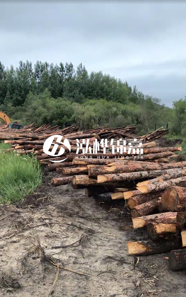 甘肅河道清淤工程公司-為什么要進行河道清淤？