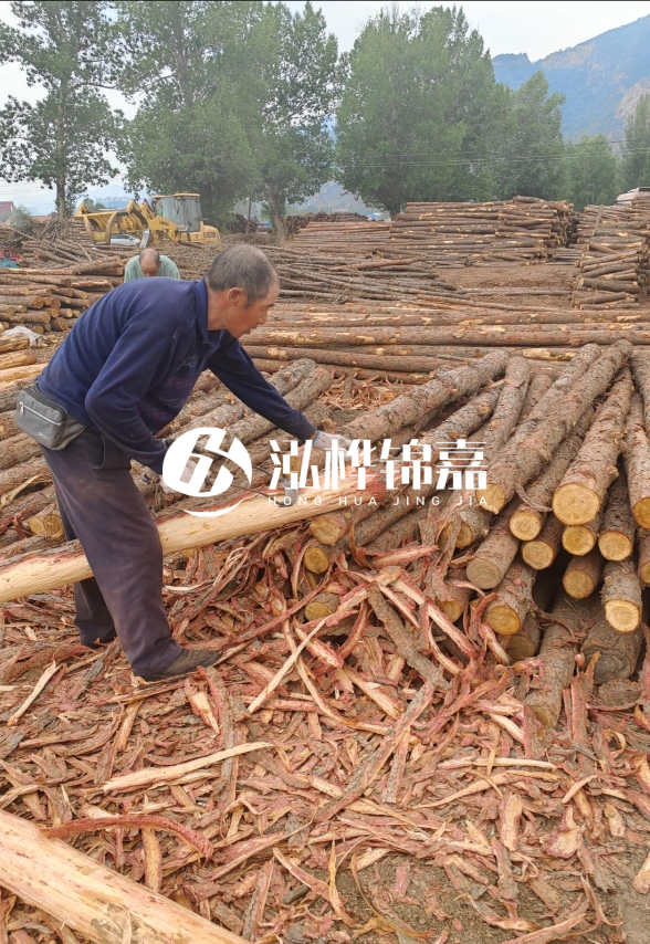 東營河道清淤專業(yè)施工隊-不同型號挖機清淤能力對比？