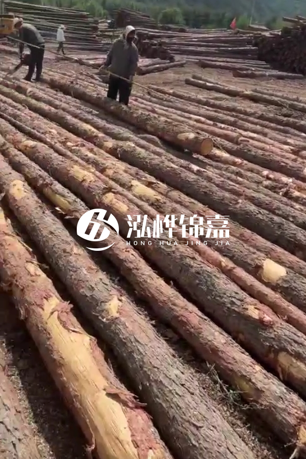 ?？谒赡緲对搭^廠家-松木樁最長(zhǎng)可以做多少米？