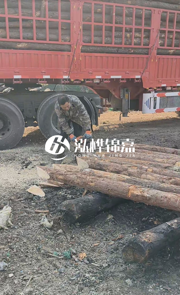 2米松木樁多少錢一根？15-20CM直徑價格是多少？