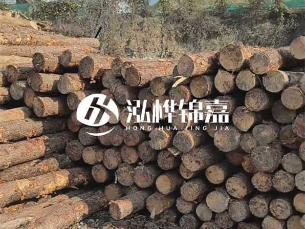 落葉松木材的主要產(chǎn)地在哪里？為什么比其他松木更耐腐蝕？
