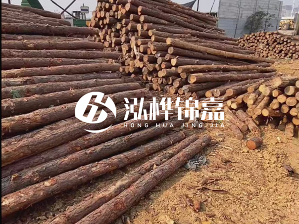 河道木樁施工遇到淤泥怎么辦？打多深才能防沖刷？