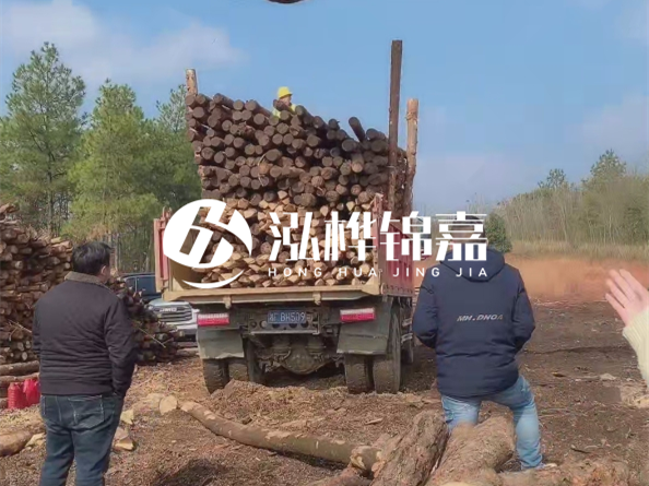 防腐木樁價格比普通木樁貴多少？防腐木樁有哪些處理方式？