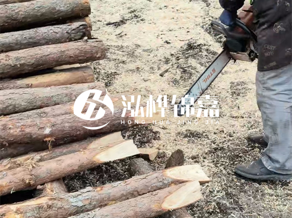 杉木樁批發(fā)廠家哪家好？產(chǎn)地直供渠道推薦！