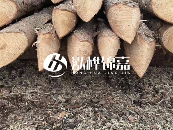 打樁木樁與鋼樁相比有哪些優(yōu)缺點？如何進(jìn)行后期維護(hù)？