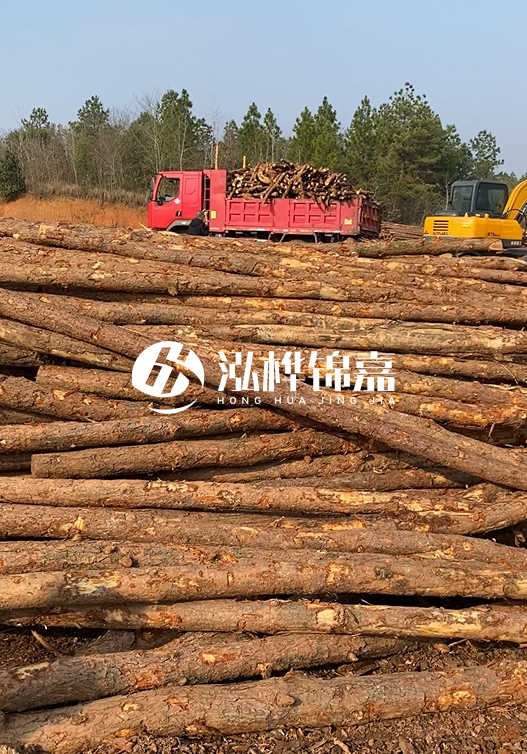8米小頭11-13CM的松木樁價格是多少？打樁施工怎么算？