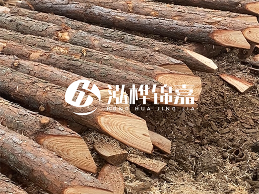 松木樁削尖的費用怎么算？按根收費還是包含在單價里？