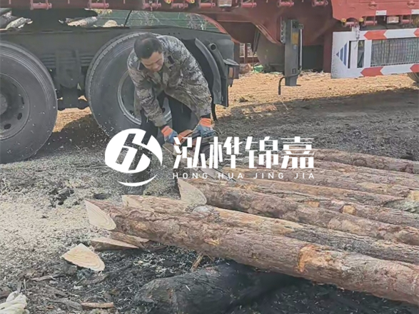 松木圓木價(jià)格大概多少一方-松木樁廠家按方可以賣嗎？