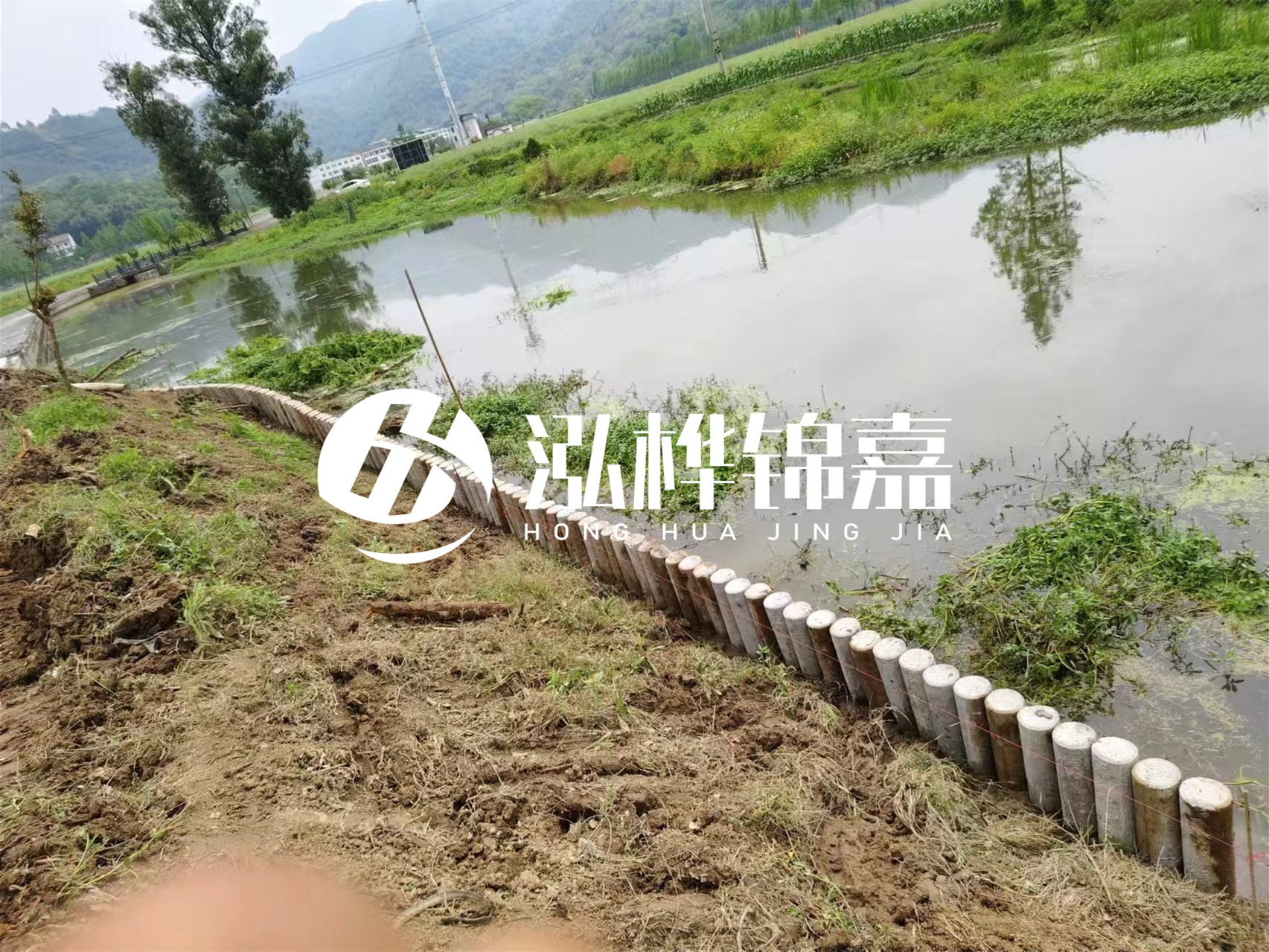 松木樁加固河道與水泥樁對比如何？哪一種更加適合您？