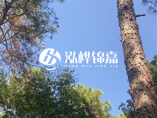 松木樁廠家泓樺錦嘉可以實地考察嗎？需要提前預約嗎？