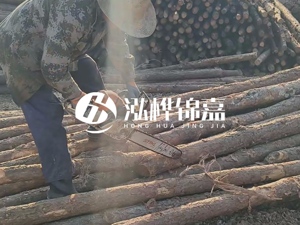廣東打樁木源頭廠家泓樺錦嘉 - 如何選擇適合特定邊坡的松木樁？
