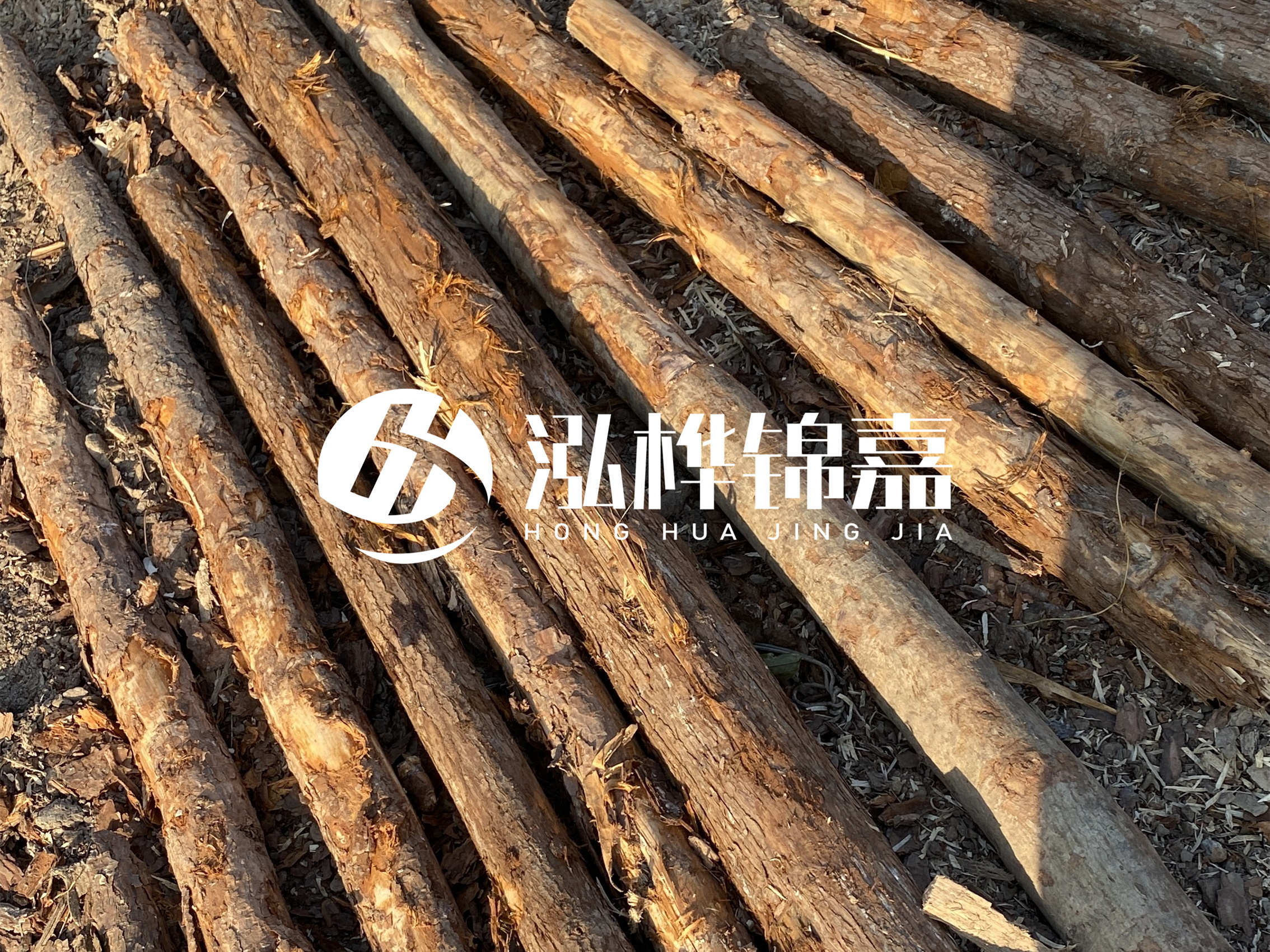 河道木樁多少錢一根？河道木樁的使用以及保養(yǎng)方法?