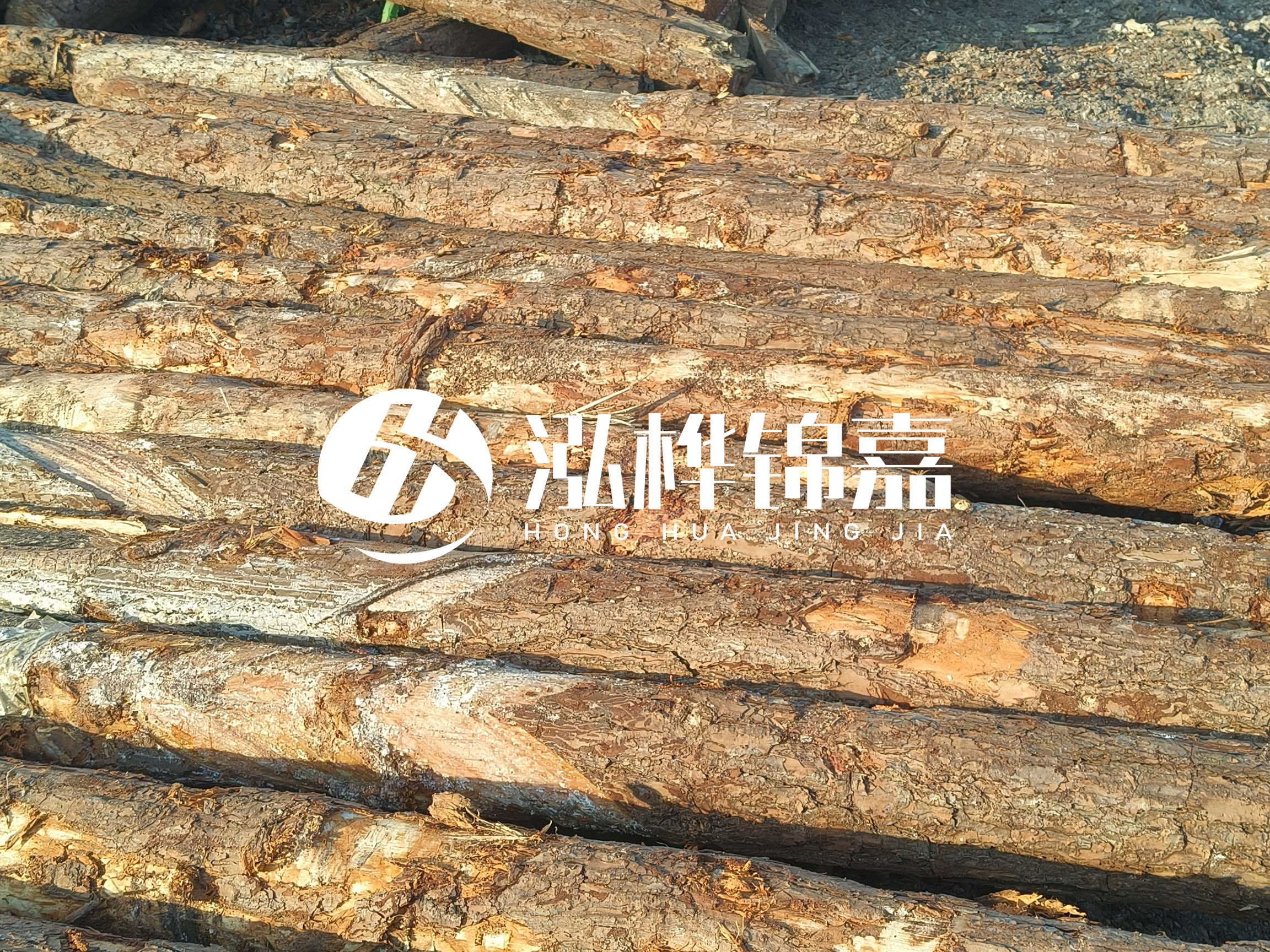 河道木樁的含水率過(guò)高會(huì)有什么問(wèn)題？怎么檢查松木樁含水率？