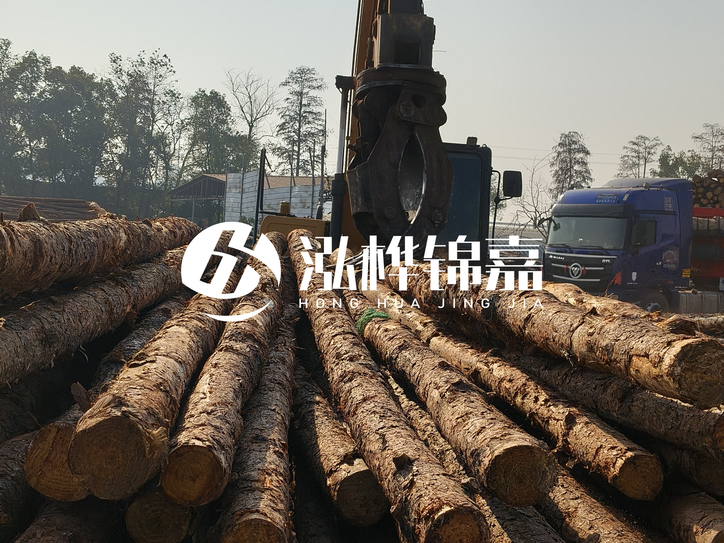 松木樁可以用來做什么？常用于哪些工程？