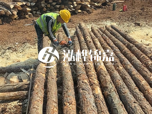 松木樁批發(fā)廠家泓樺錦嘉-河道打樁木施工中怎么防止樁頭被打壞？
