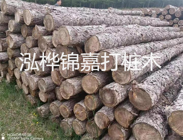 高效修補，保駕護航！水泥路面高強度修補料為您解決煩惱！