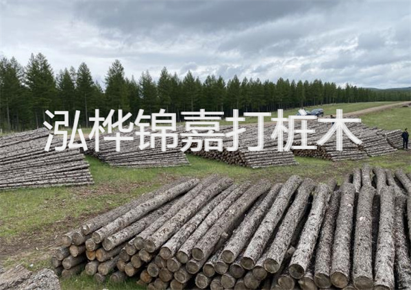 鋼結構施工方案大全免費提供，助力工程建設