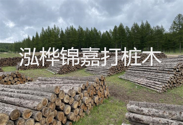 預(yù)制松木樁施工工藝：優(yōu)質(zhì)材料，高效快速，堅(jiān)固耐用