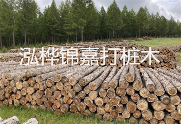 松木樁能施工嗎？探究視頻揭秘真相！