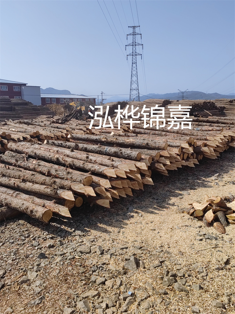 深入了解松木樁基礎(chǔ)施工單價，助力工程建設(shè)順利進行！
