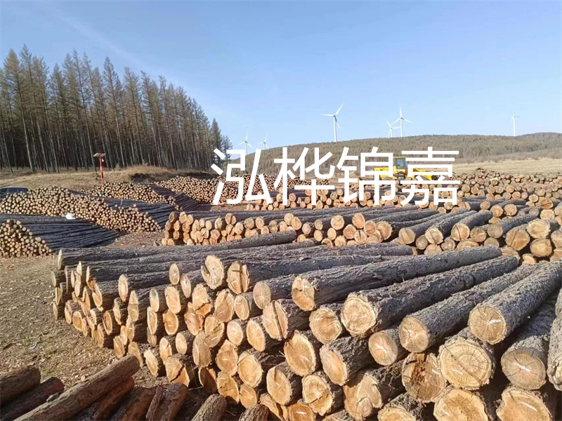 用路基松木樁施工方案提升工程質(zhì)量描述：了解路基松木樁施工方案的重要性，提高工程質(zhì)量關(guān)鍵詞：路基松木樁，施工方案，工程質(zhì)量