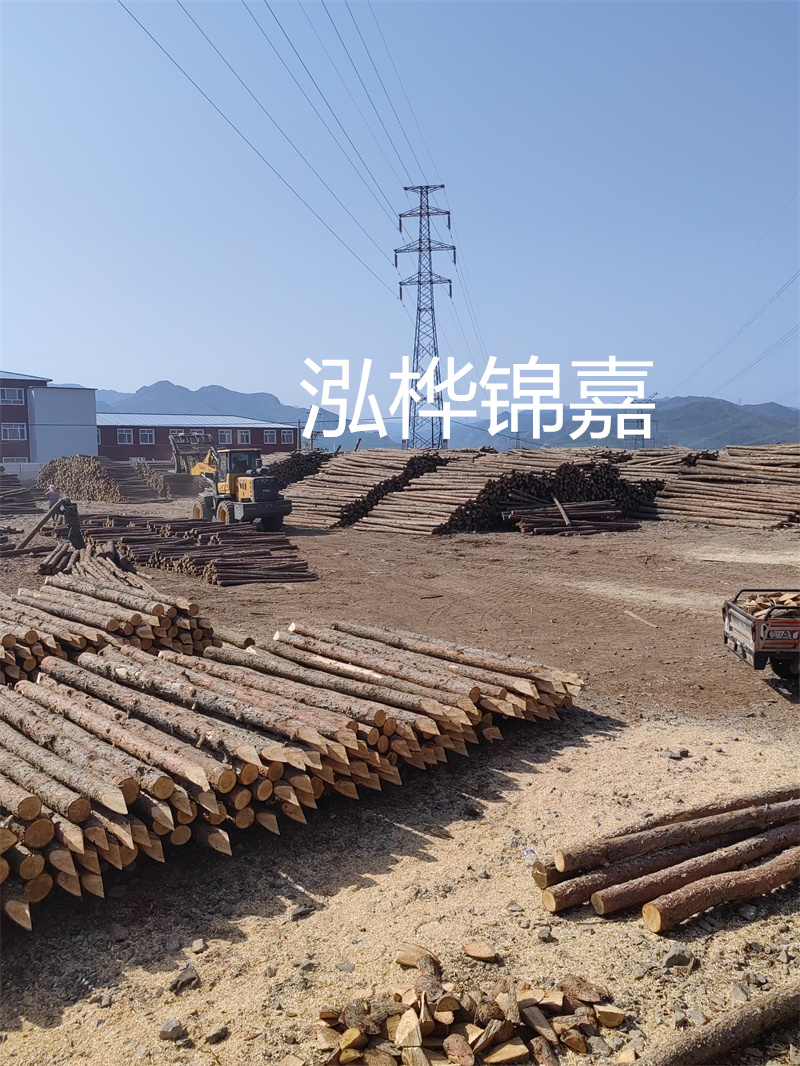 株洲松木樁哪里買？這家供應(yīng)商值得信賴！