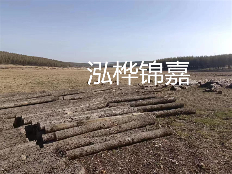 鄂州松木樁哪里好？推薦泓樺錦嘉松木樁業(yè)！
